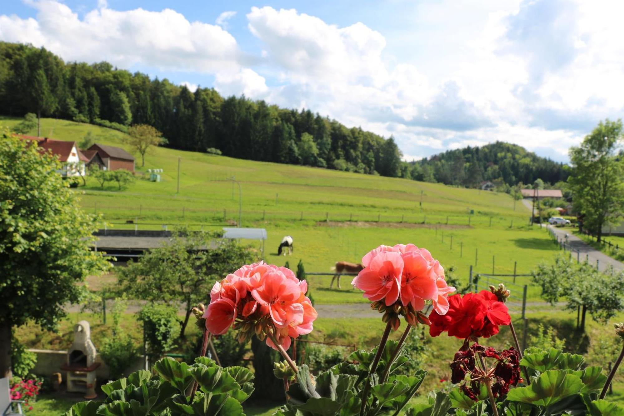 Gaestezimmer Schupanez Bed & Breakfast Leutschach Exterior photo